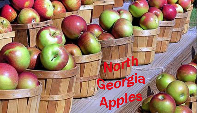 It’s Apple Season in North Georgia! Enjoy This Delicious Apple Fritter Bread Recipe with Local Apples from Your Favorite Georgia Orchard
